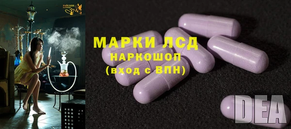 твердый Богданович