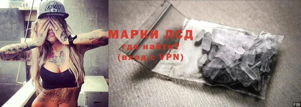 твердый Богданович