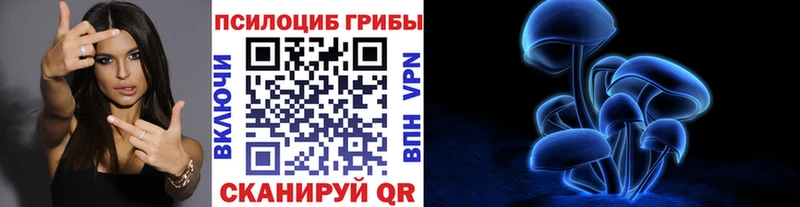 Псилоцибиновые грибы GOLDEN TEACHER  площадка формула  Сковородино  где найти  